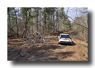 bZ4X_UpNorth-DirtRoad_14
