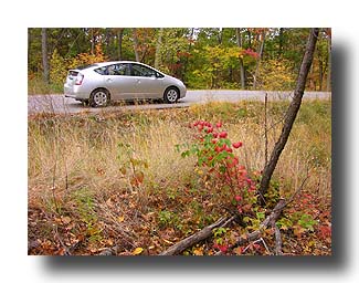 Prius_Fall_98