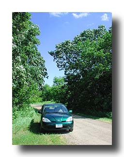 Prius_Summer_24