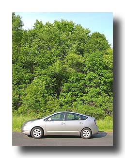 Prius_Summer_73